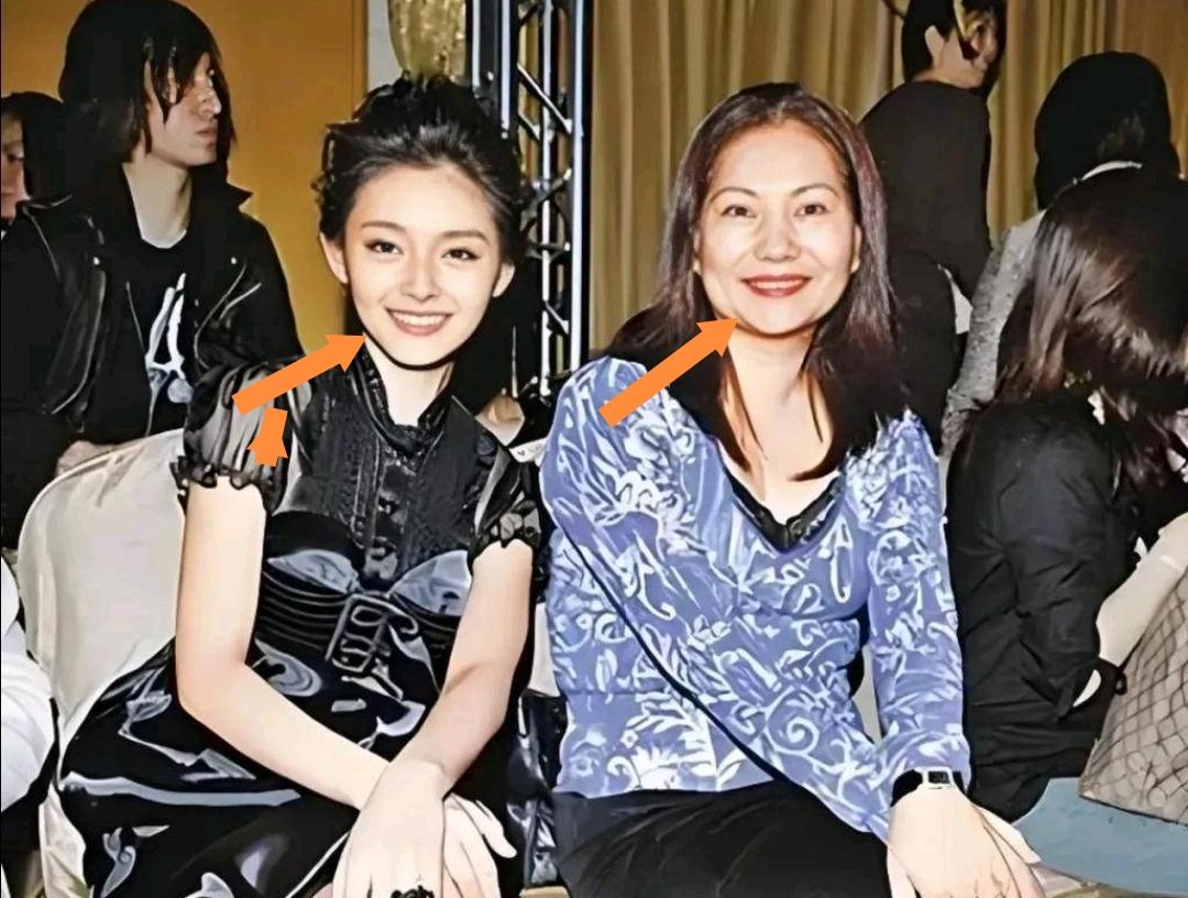 看大S当年和妈妈同框的合影，真的能明显看出，大S的下颌线线条特别流畅，弧度精致又