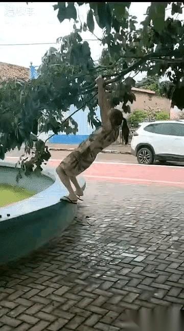 大妈双手死死扣住那根树枝，整个人的分量，猛地向后一坠。那根碗口粗的树干，瞬间被