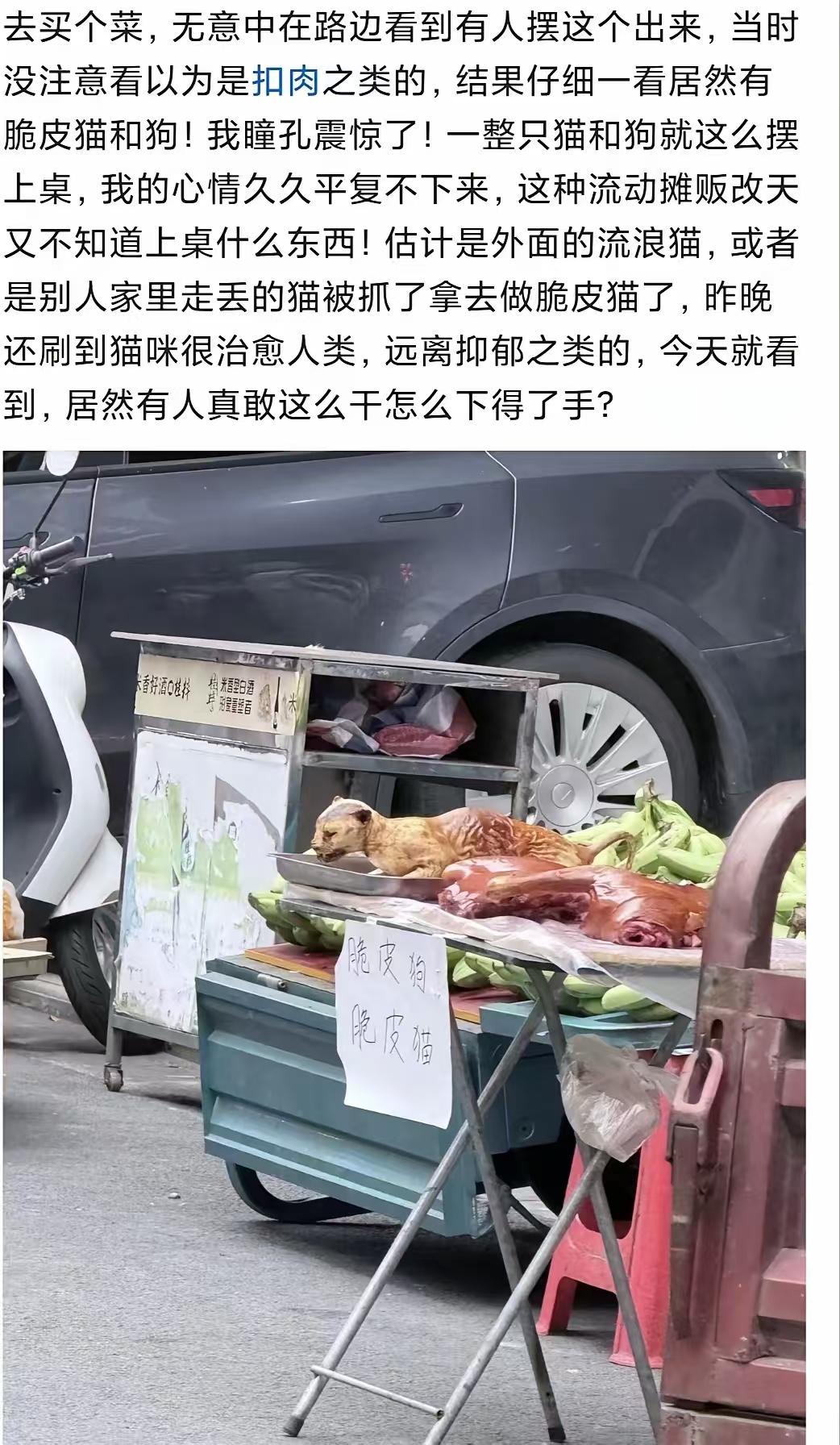 一整只猫被烧熟摆在那，旁边还有半只狗。看的我身体都抖，可怕的人类，就没有什么不下