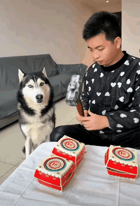 狗:这人有毛病吗？