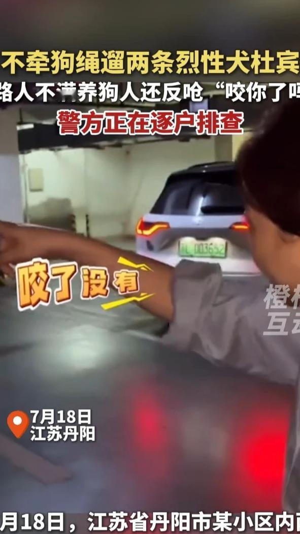 这个，必须唠叨唠叨。13秒的视频，两条烈性杜宾狗，大摇大摆，在车库里横着走；狗主