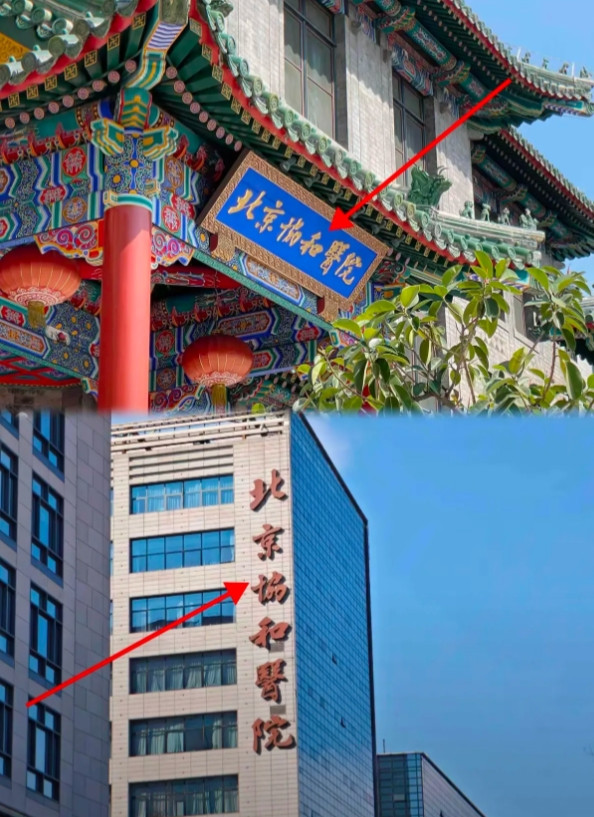 和男朋友去伊犁玩了7天，消费观真的崩塌了……本以为做足了攻略，结果还是被现实狠