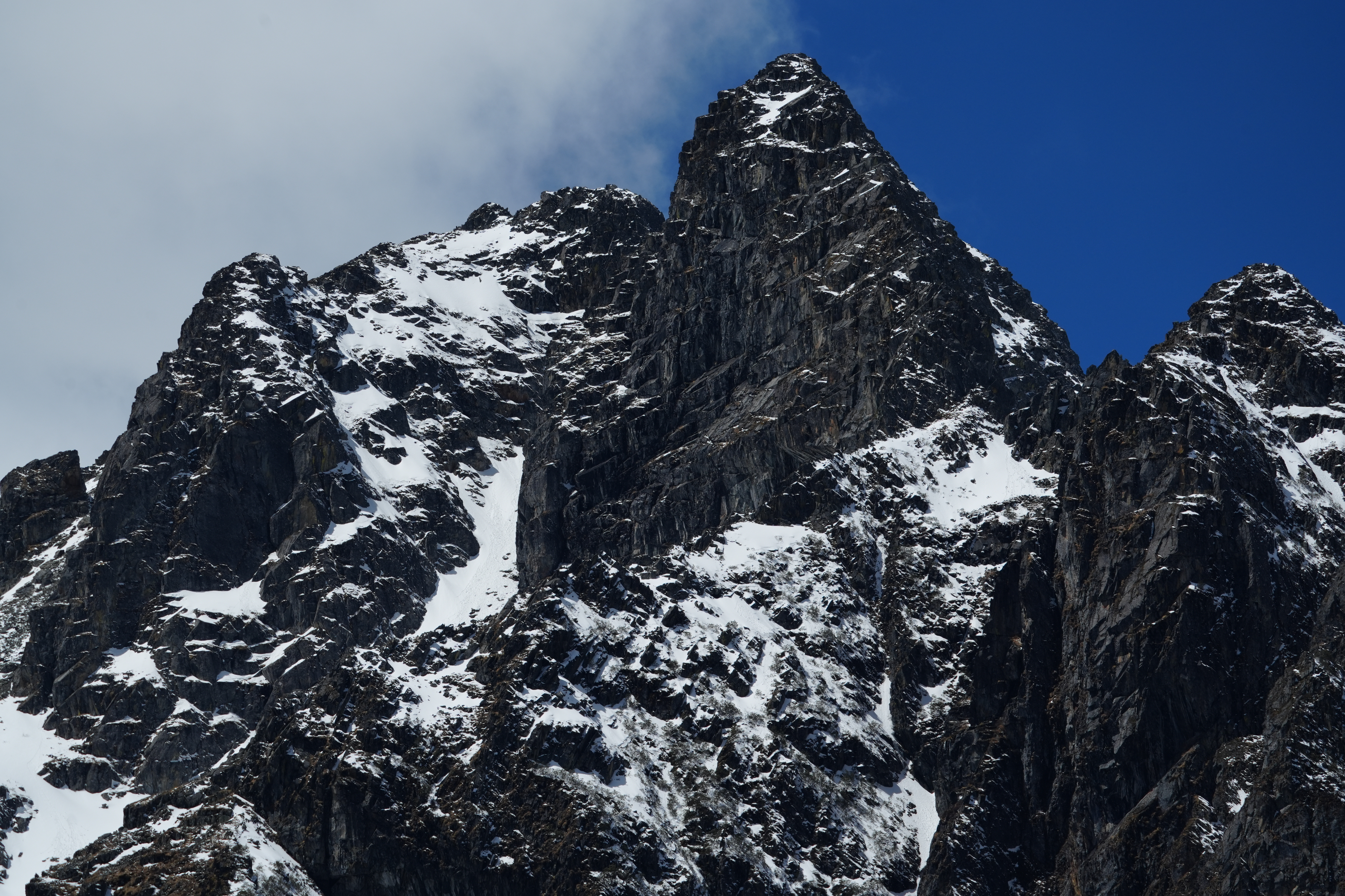 400-800mm长焦废片率太高了！勉强选出来两张可以用的！大家觉得怎样？