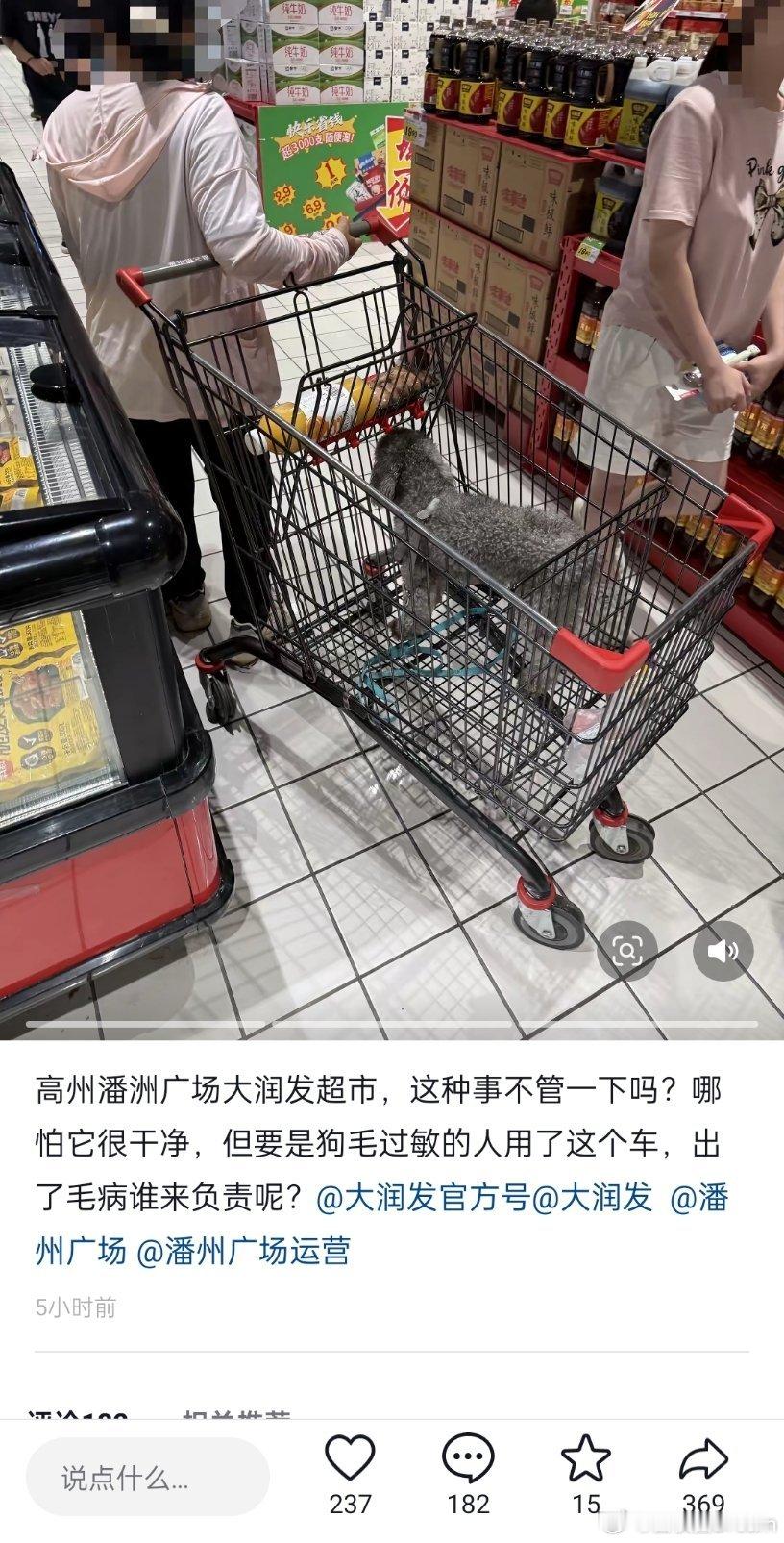 建议贴个牌子：禁止带宠物进商场