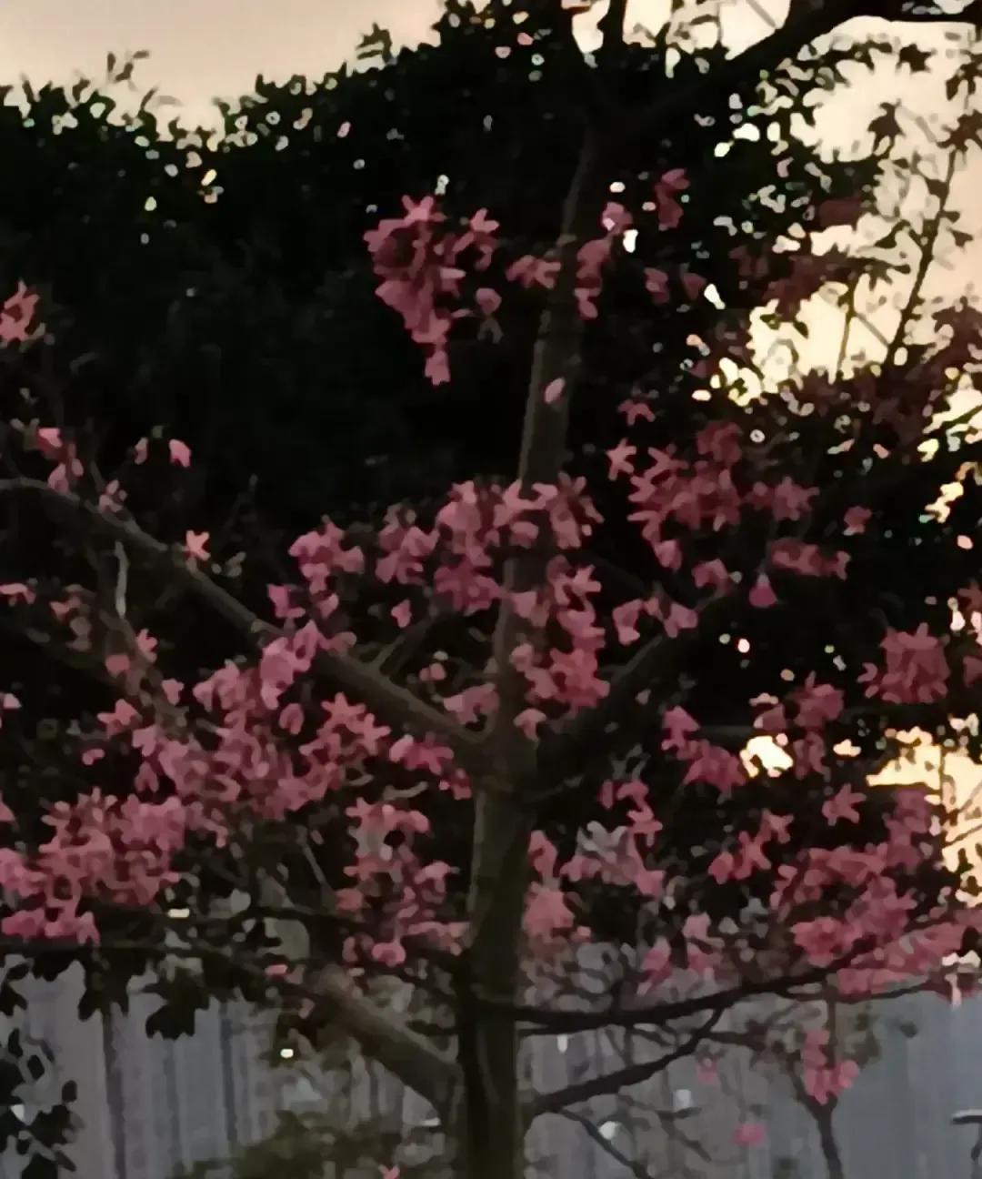 曾仕强把“吃亏”和“忍”说成两大嗜好，听着像鸡汤，细想挺扎心。他说爱吃亏不是傻