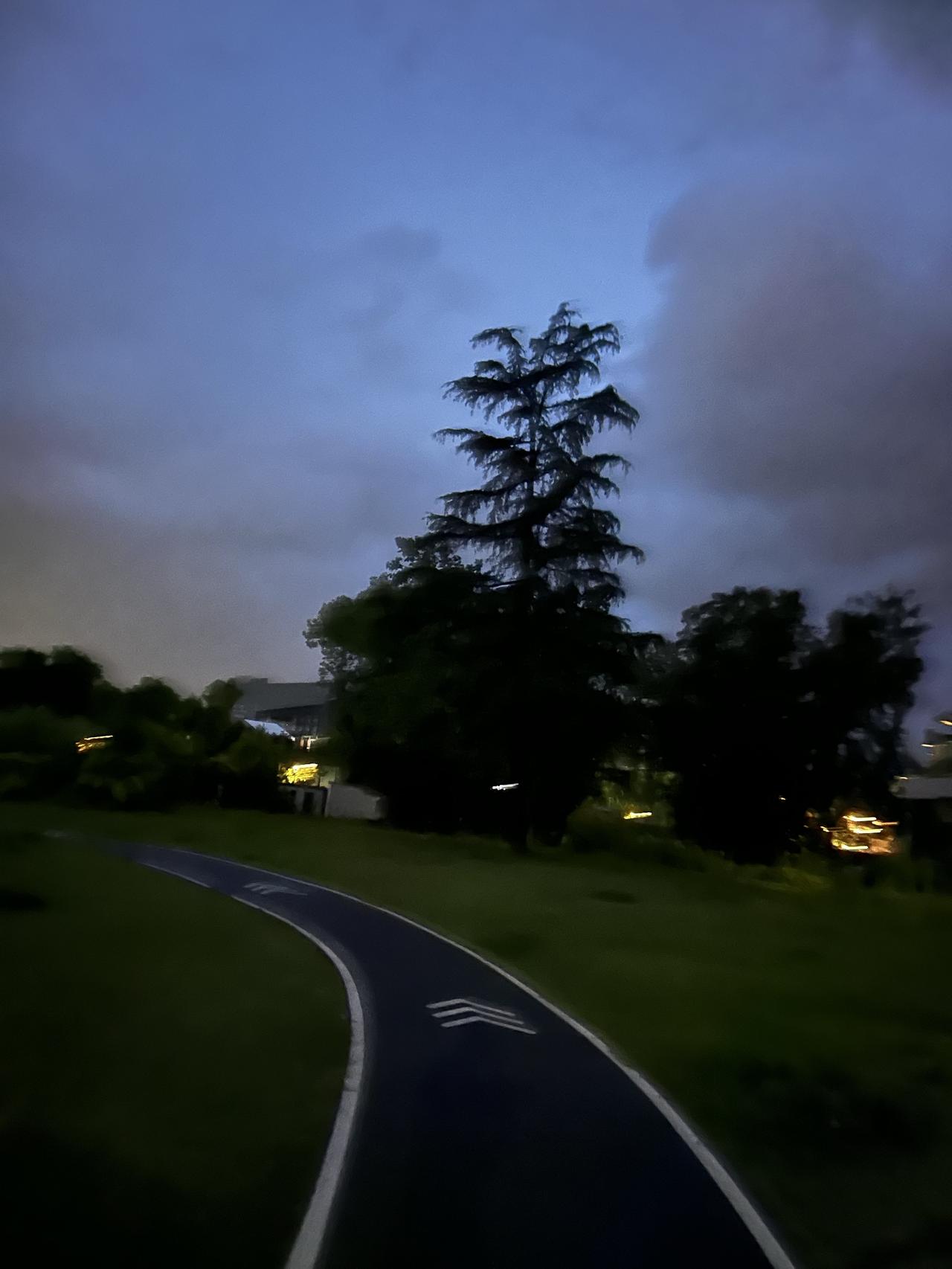 人生最好的状态，不过是风来听风，雨来赏雨，踏踏实实过好当下的每一天。