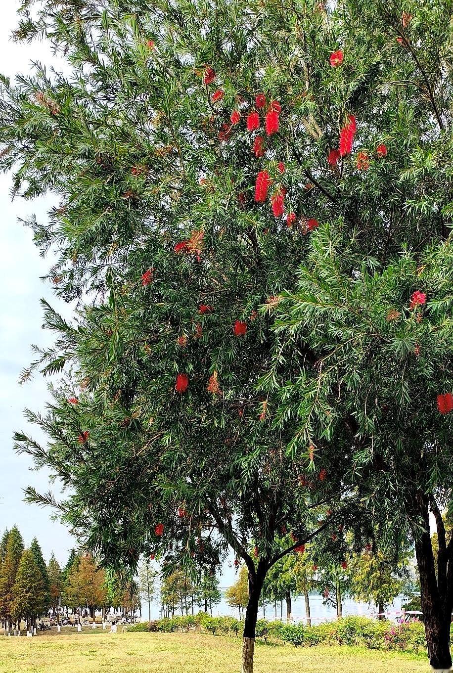 看着那个年入千万的石场老板被骂成“守财奴”，我反倒觉得这世道有些荒唐。儿子买房