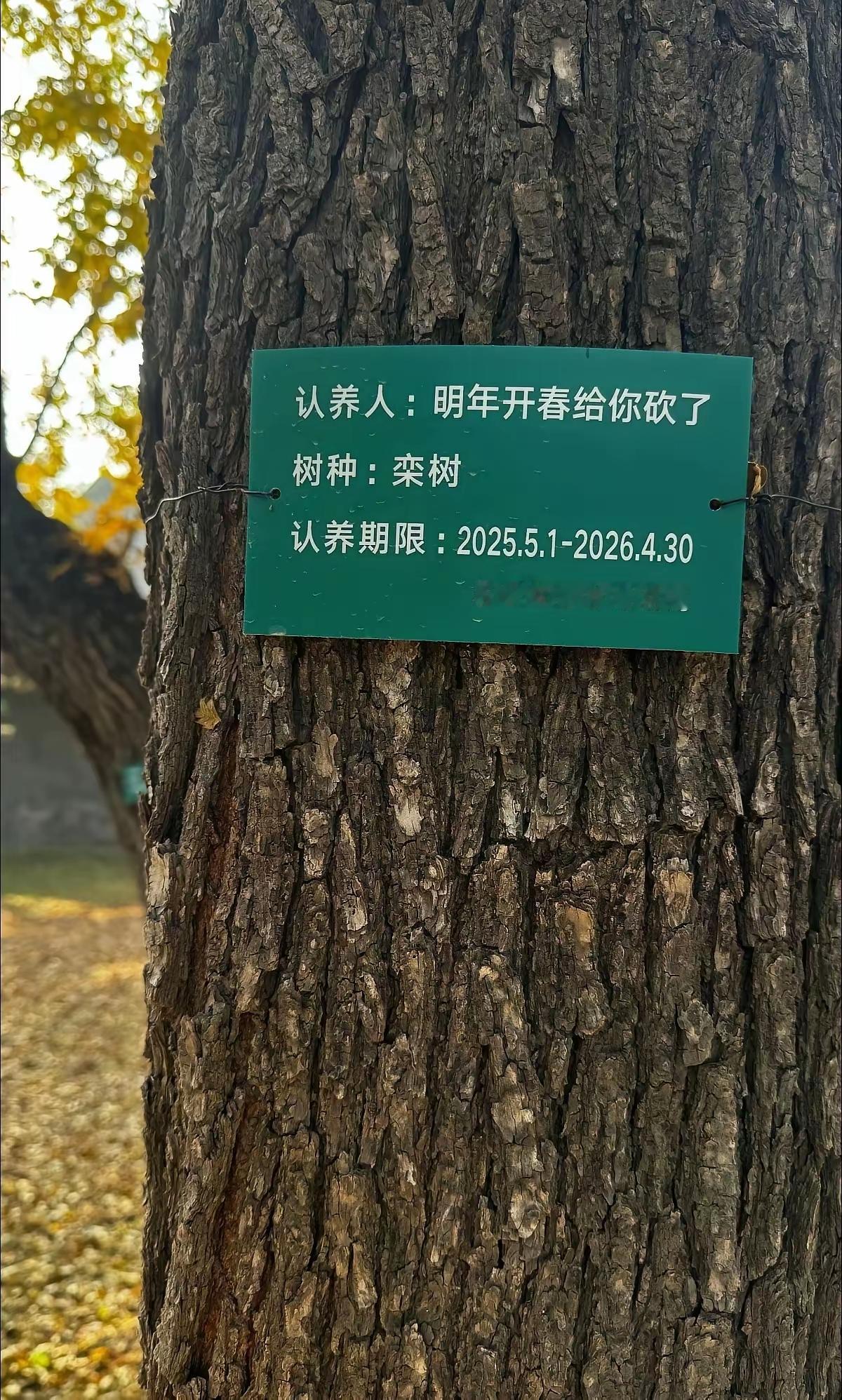 树:这个人的名字好可怕啊[捂脸哭]