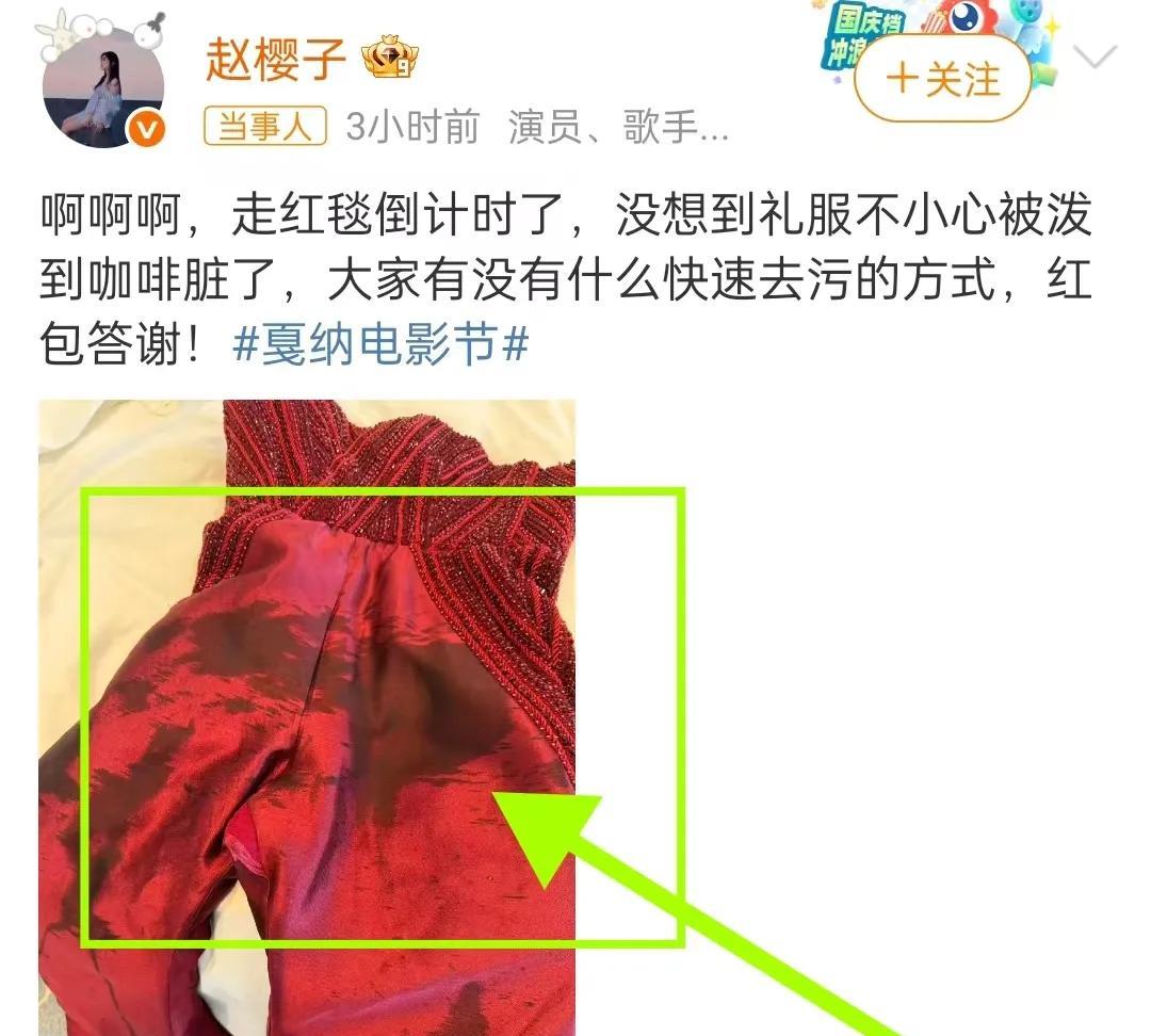赵樱子走红毯礼服，不小心泼咖啡这个事，我特意查了一下，不查不知道，一查我真的跪了
