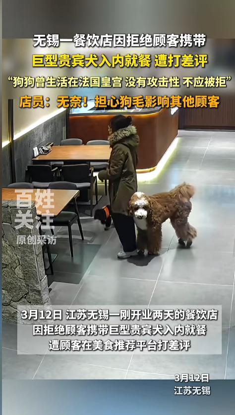 “离了个大谱！”近日，江苏无锡，一家刚开业的餐饮店内，一女子想带着自己的巨型贵宾