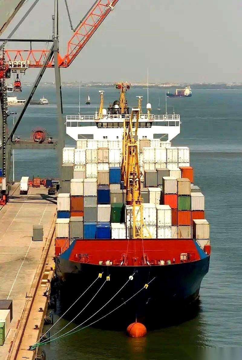 “掉头！”一声令下，巨型货轮猛地一颤，船长死死盯着远方中国港口的灯火，眼睛血丝