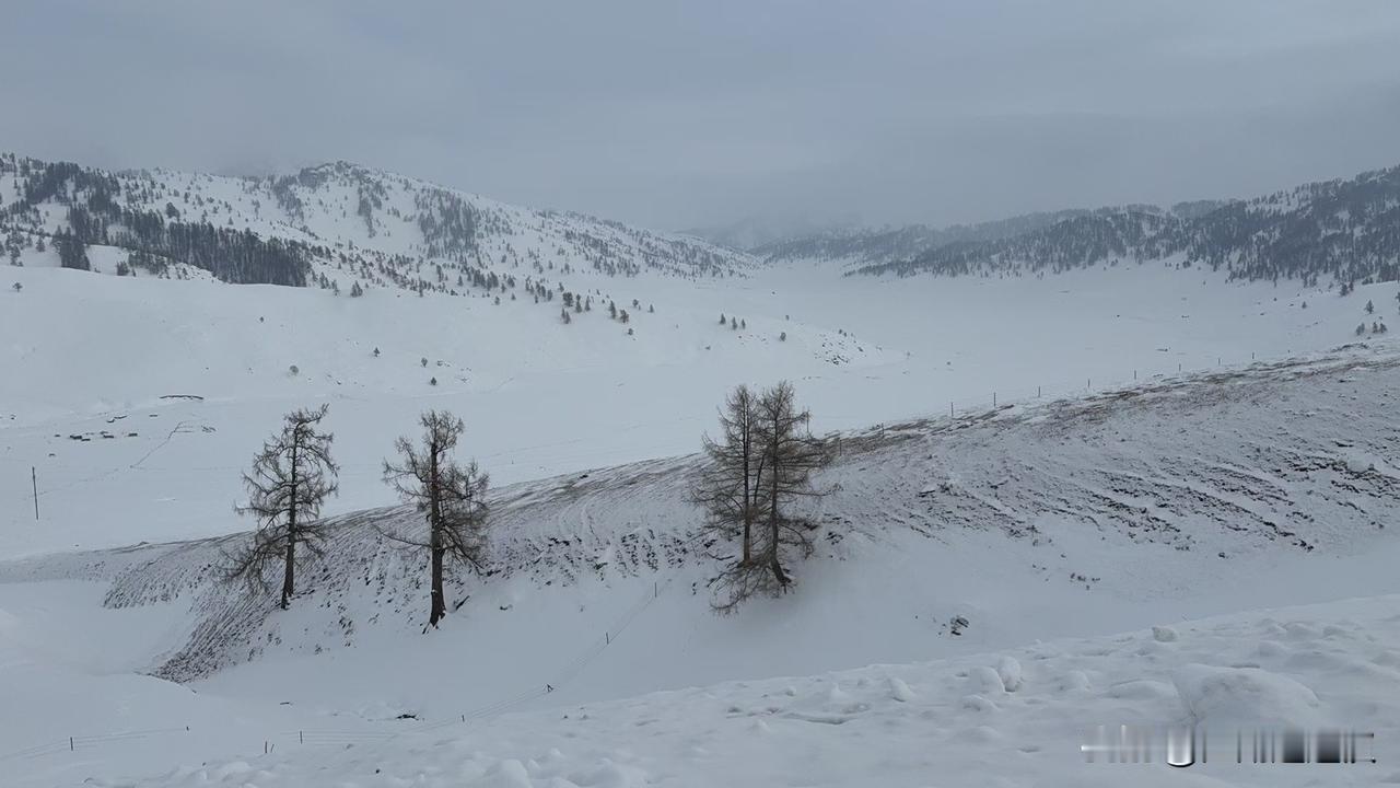 把冬日的浪漫，都藏进禾木的雪夜里。清晨是漫山素白的静谧，暮色是木屋暖灯的温柔。