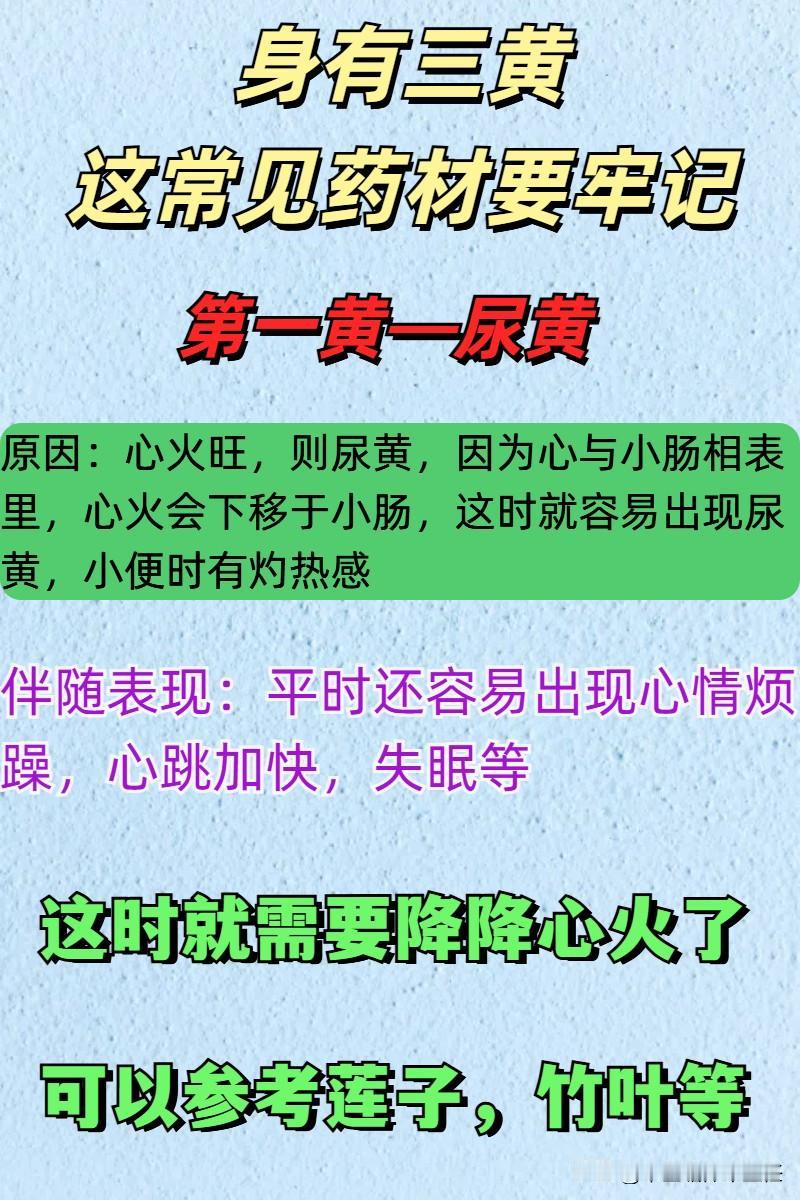 身上出现三黄，这几味药材要牢记，教你轻松去“黄”！第一黄——尿黄第二黄—