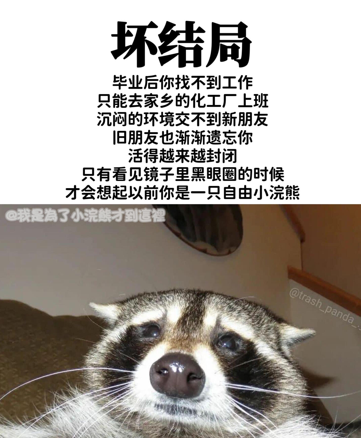没关系的，熊生会越来越好的…​​​
