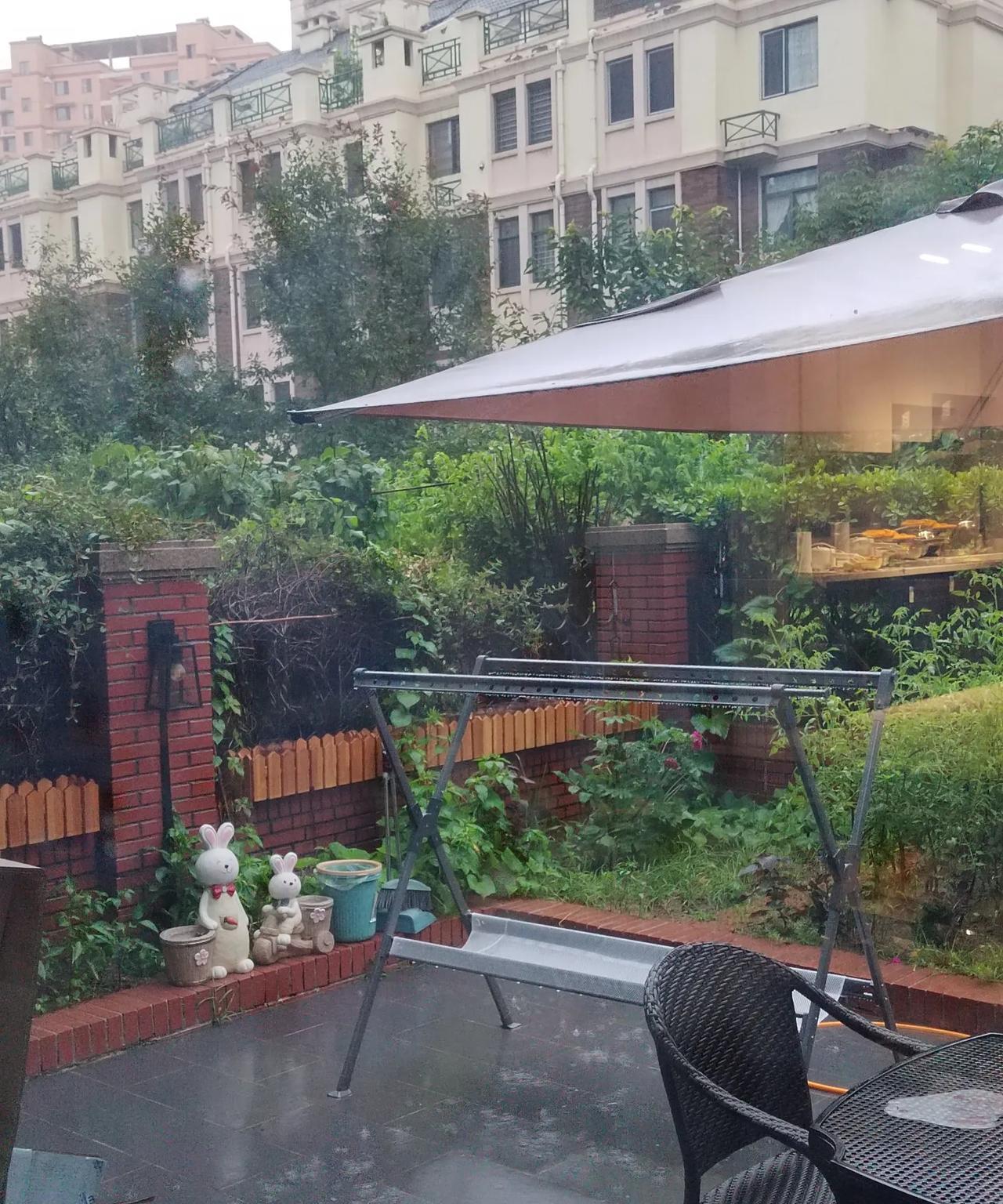 早晨起来，就大雨封门，直线似地哗哗地，下个不停。还好，家里有吃的，有喝的，问题