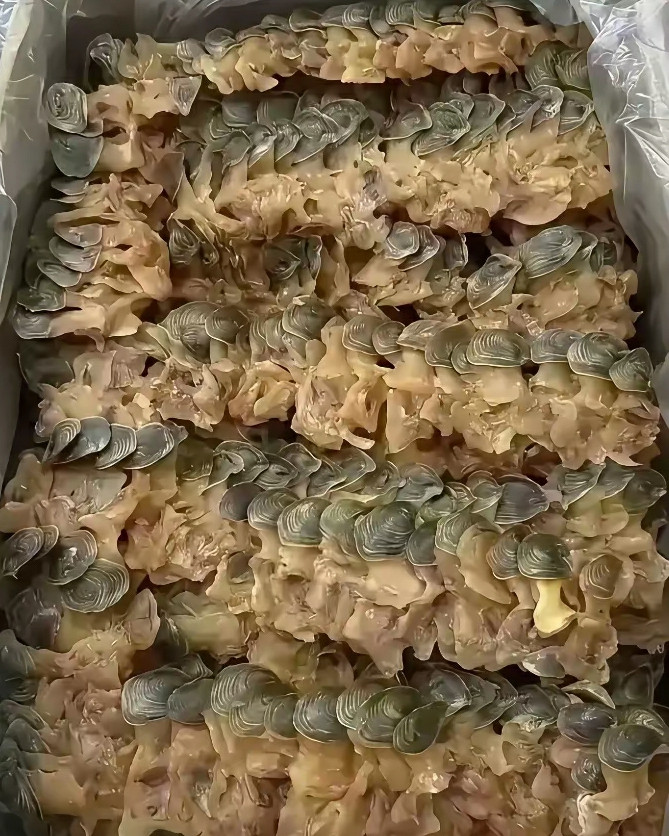 这一箱比黄金都难得