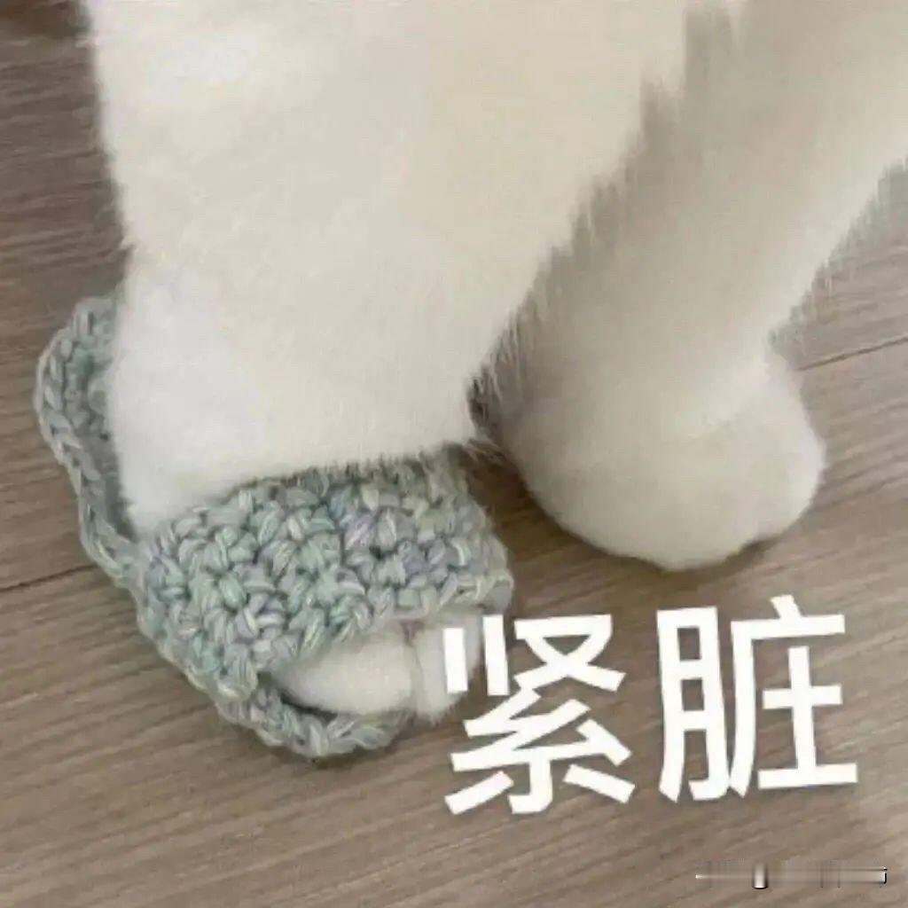 同时和3个男的聊天，感觉我玩大了快过年了，父母又开始催婚了。我整个人就绷的很紧