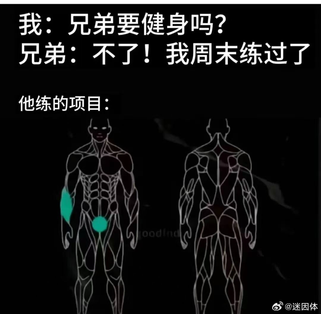 我就这样memes迷译图