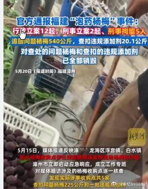 官方通报福建漳州“泡药杨梅”事件官方通报福建漳州“泡药杨梅”事件据漳州市市场监督