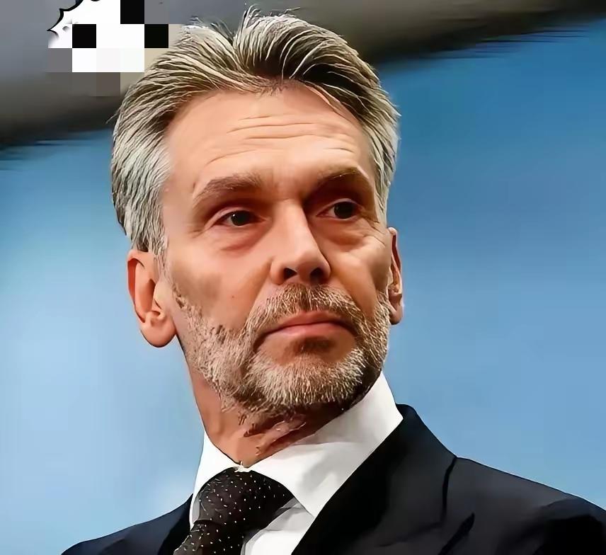 荷兰企业法庭做出裁决2月11日，闻泰科技发布公告，荷兰企业法庭做出裁决，维持