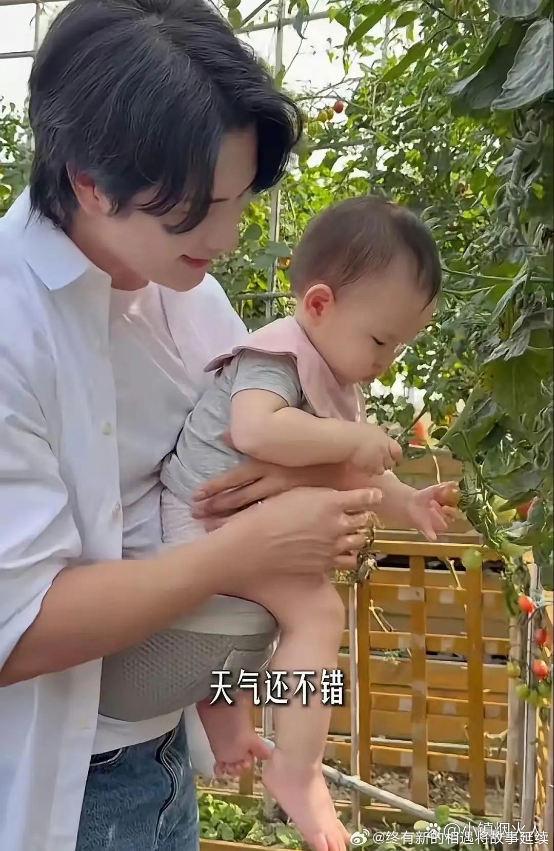 张檬一家三口在家楼下溜娃，11个月的儿子白白胖胖的，看着都可爱。