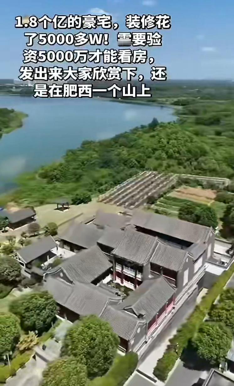 合肥挂了一套1.8亿的房子，这个房子最近在卖，装修花了5000万，然后验资需要5