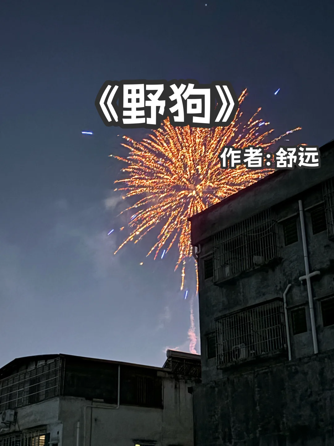 宅家小说｜破镜重圆《野狗》