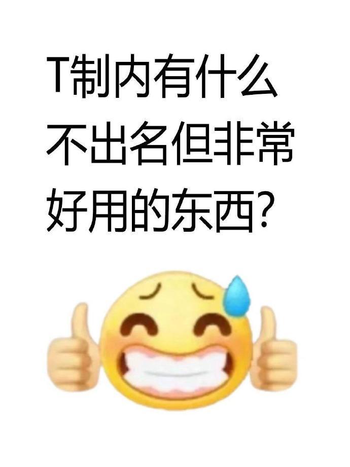 体制内有什么不出名但非常好用的东西？