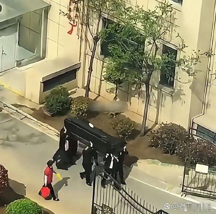 第一眼还以为在小区看到黑人抬棺，，，结果一看是个沙发近视眼的世界没救了。。。