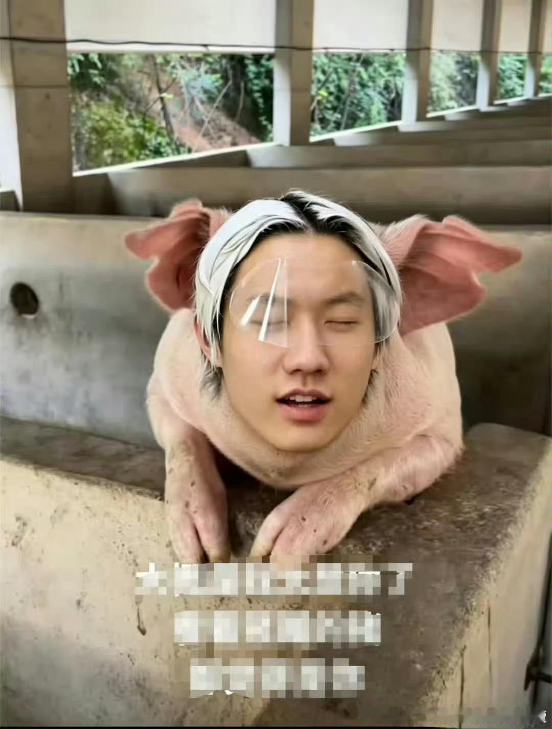 张子墨夏天到了，🐷肉容易发臭，记得及时洗洗还能哈，喜欢吃你们就多吃点，🐷肉➖