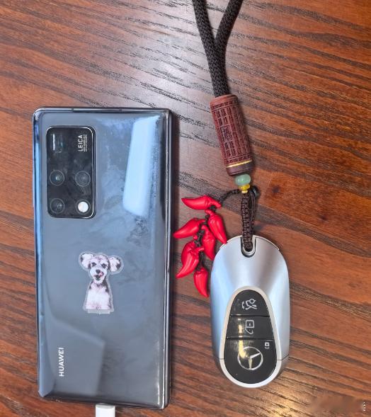 研究易经大师说我未来十年运气从2026年1.5日开始，让我身上带狗+七个小辣椒。