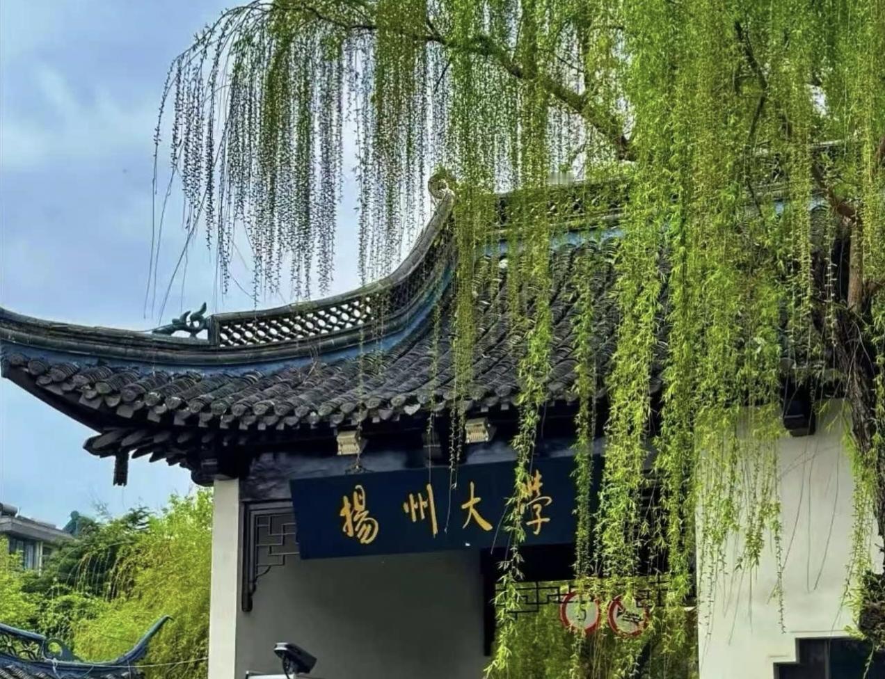 扬州大学有望入选“双一流”！新一轮“双一流”高校评选即将拉开帷幕，扬州大学有望