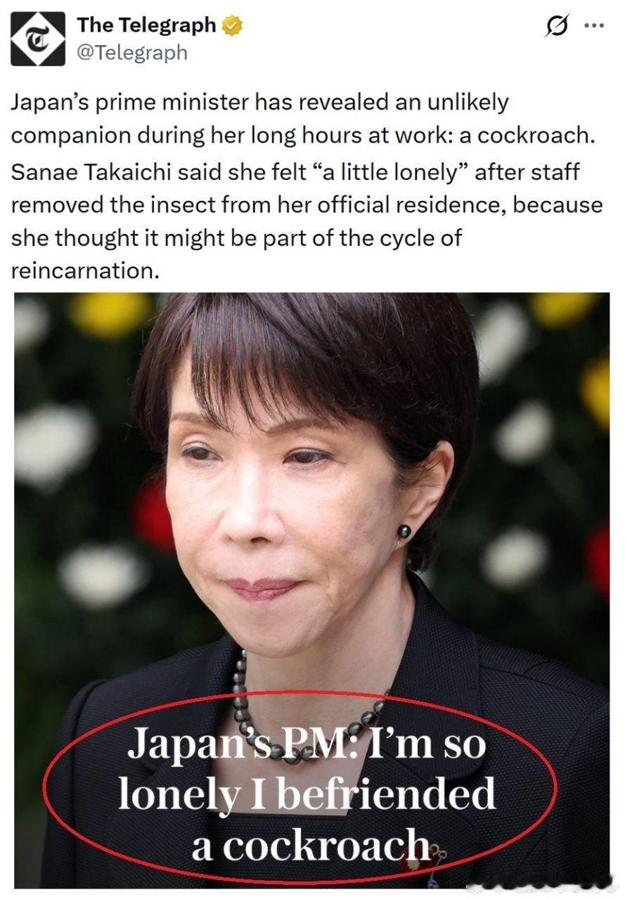 日本首相高市早苗近日在X上表示，自己此前在东京的首相官邸内发现了一只蟑螂。她从小就喜欢手冢治虫的漫画