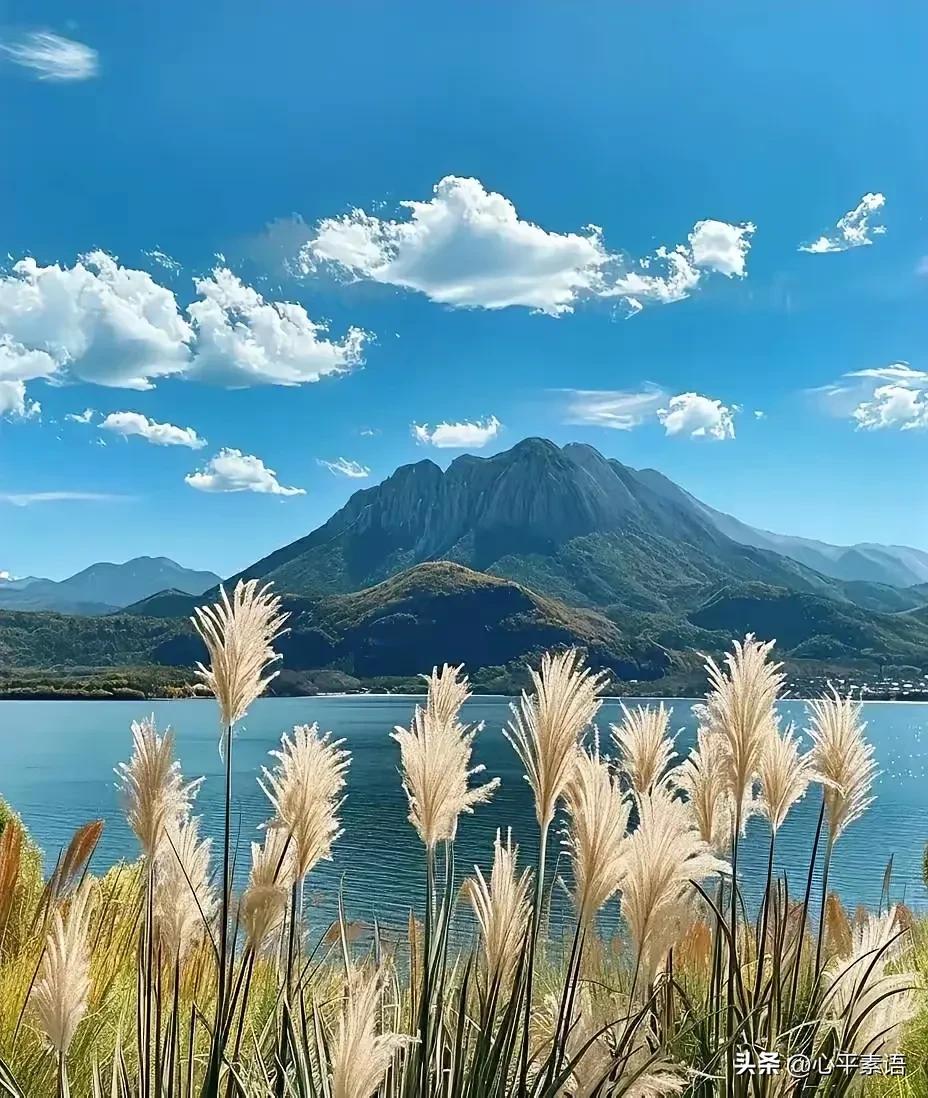 一段醍醐灌顶的话：“酒，要节制，少喝是享受，多喝是忍受，大喝是难受；少喝可