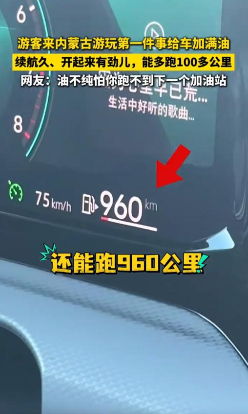 “直接加满！”一位四川游客自驾到内蒙古，到了地方不是先去草原打卡，直奔加油站喊一