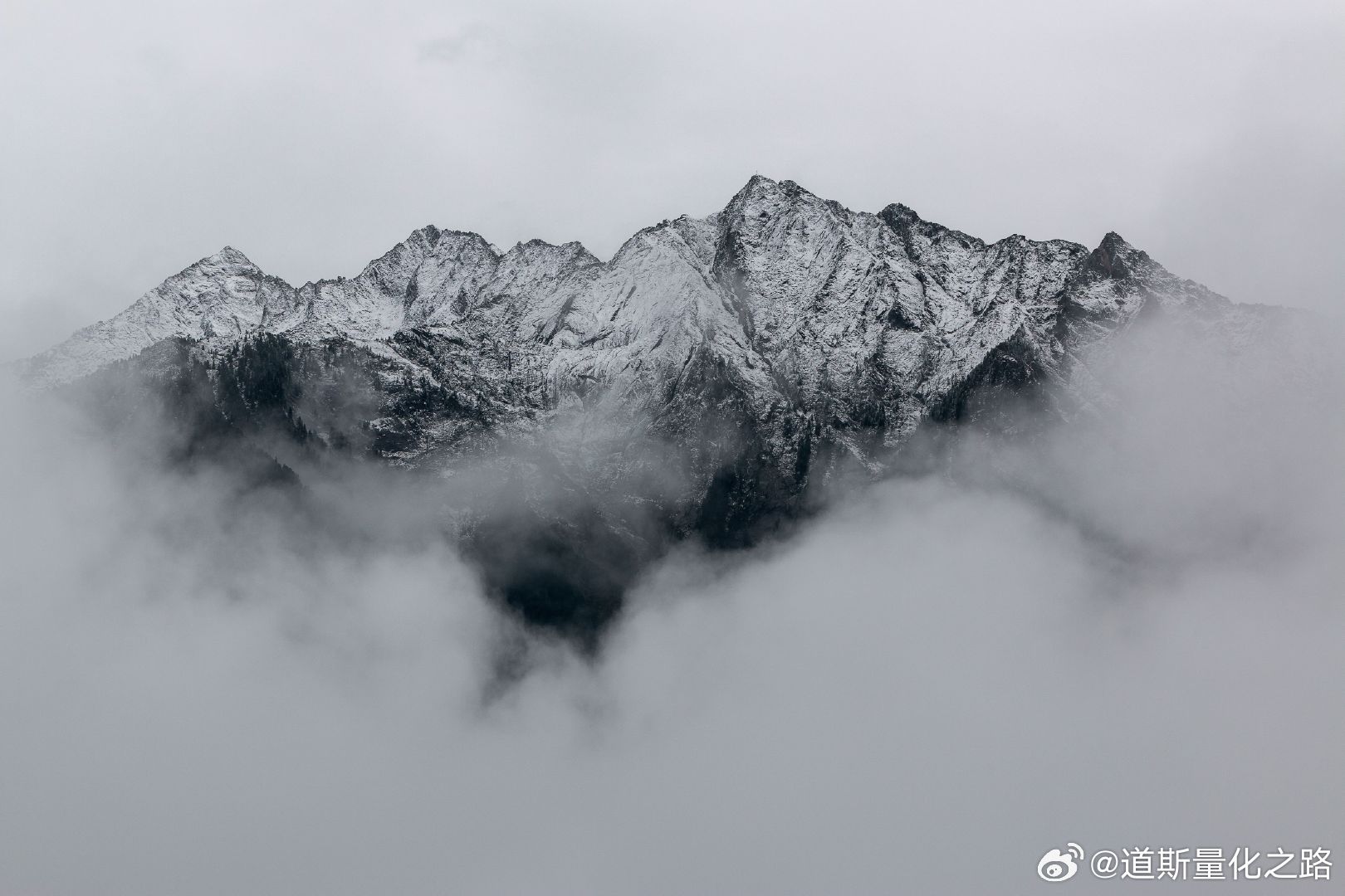【风口研报·公司】客户包括英伟达及国内头部互联网大厂，分析师强call公司液冷进入订单兑现期，三季度