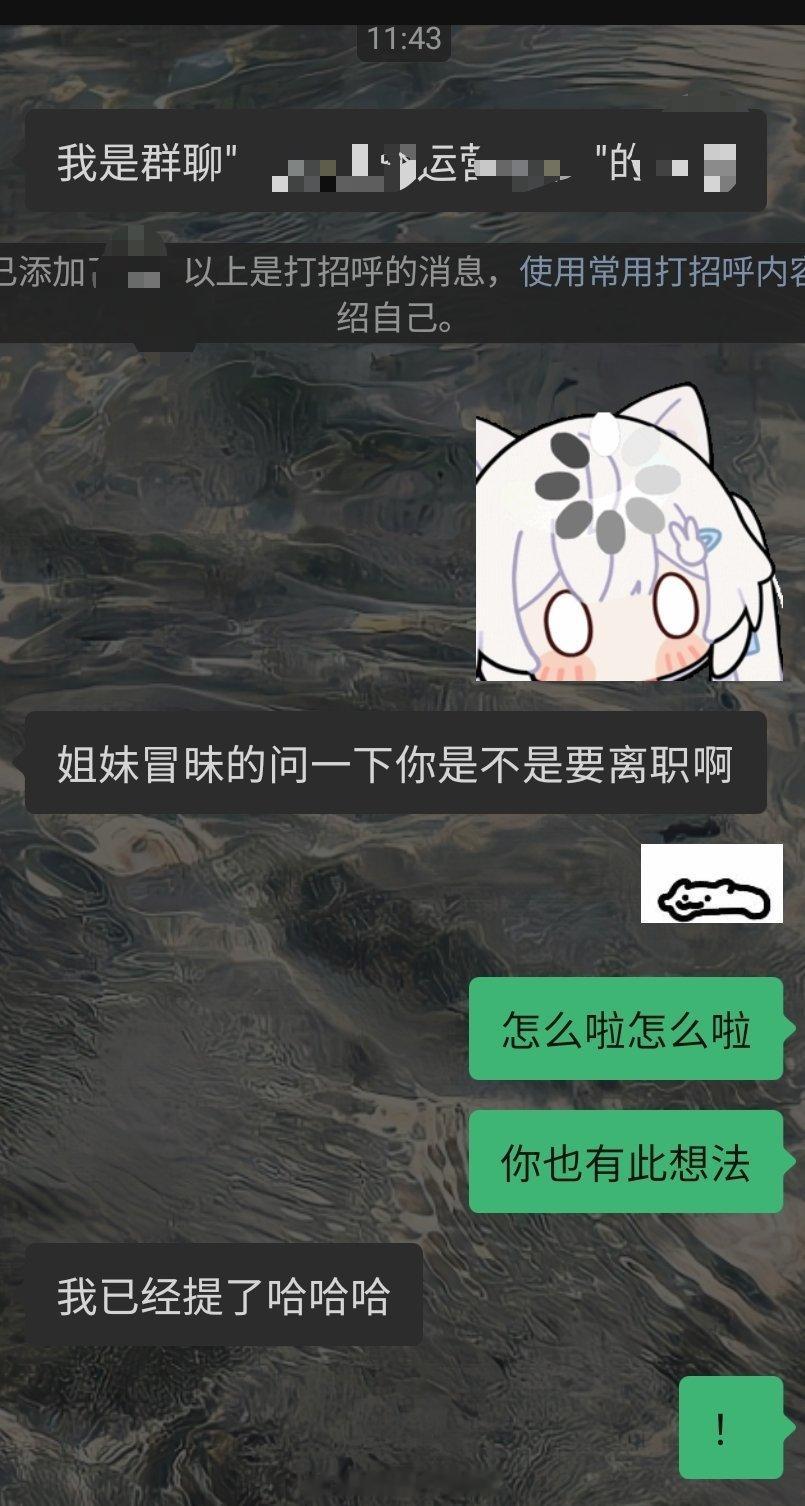 关于最近两份工作，我所做的决定感觉都是正确的每逢我离职的这段时间，都不仅仅是我在