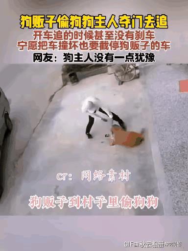 一位狗贩子驾车来到乡村，瞧见一只狗趴在主人家门前，狗贩子下车后悄无声息地把狗拖进