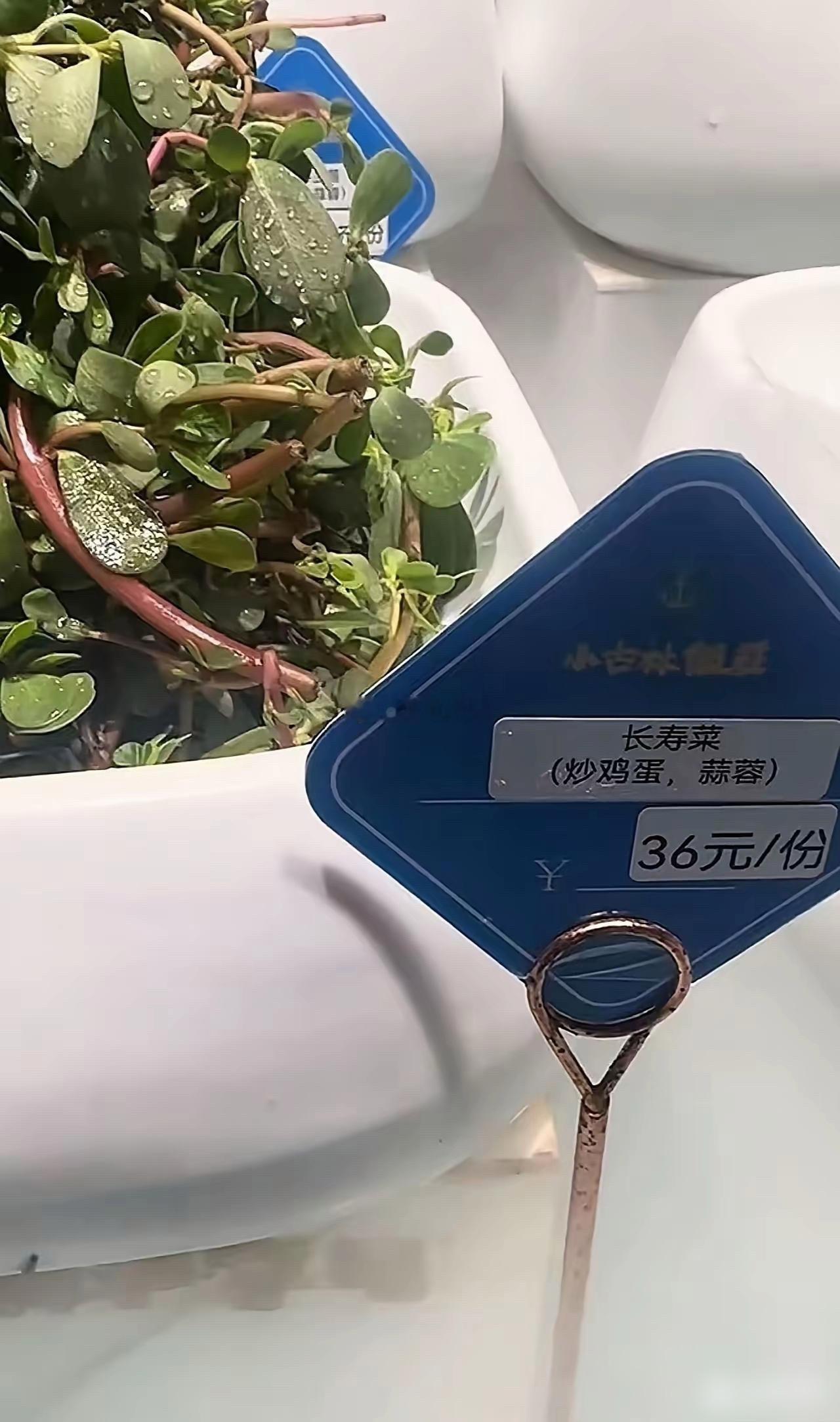 你们那把这个叫什么？你知道吗？​​​