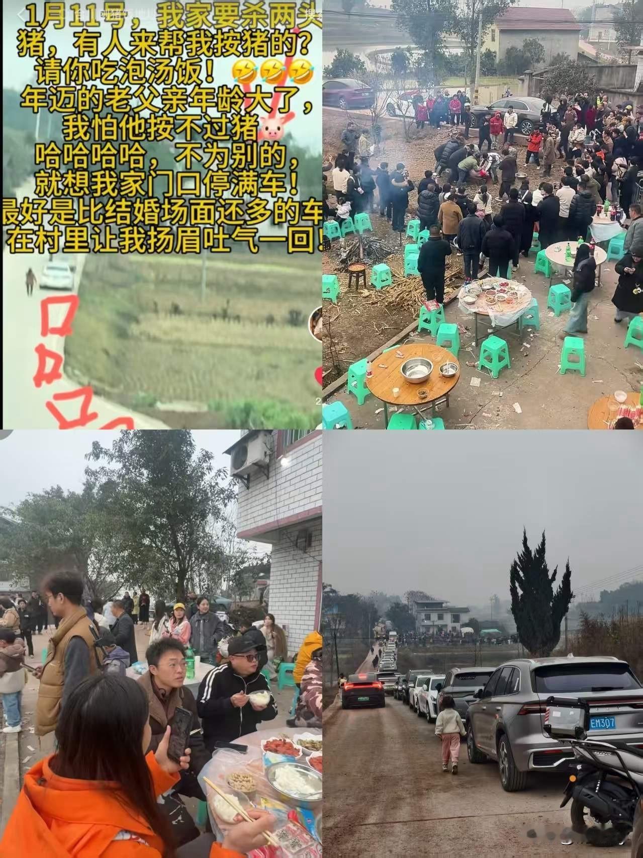 重庆合川杀猪现场太热闹了！比结婚现场还要热闹！抖音博主发视频，自家准备杀猪怕