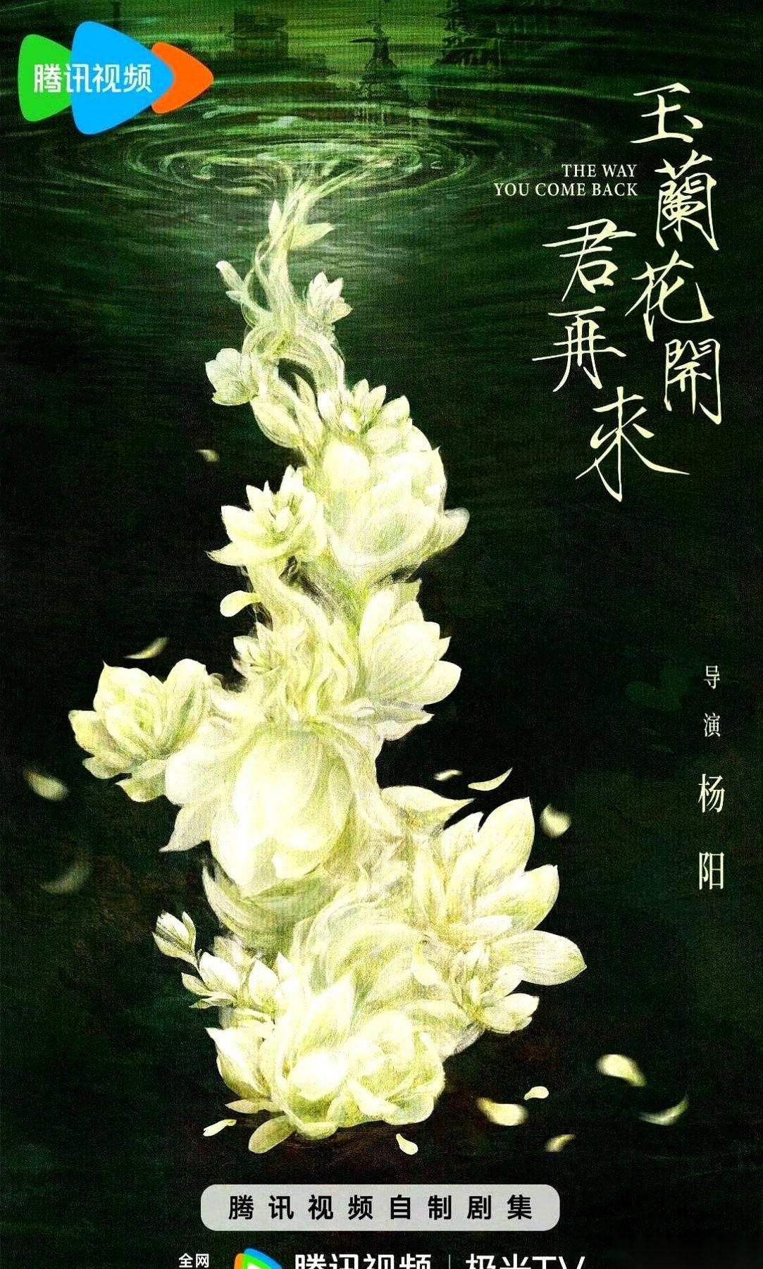 杨紫这是真想明白了。流量明星的花期有多短，她比谁都清楚。以前是拍一部火一部，现