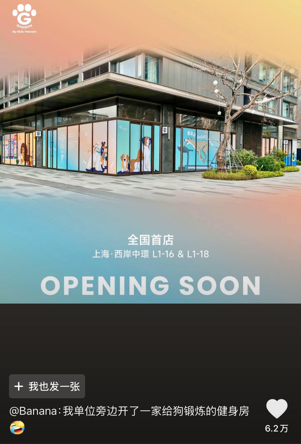 啊？小狗健身房​​​