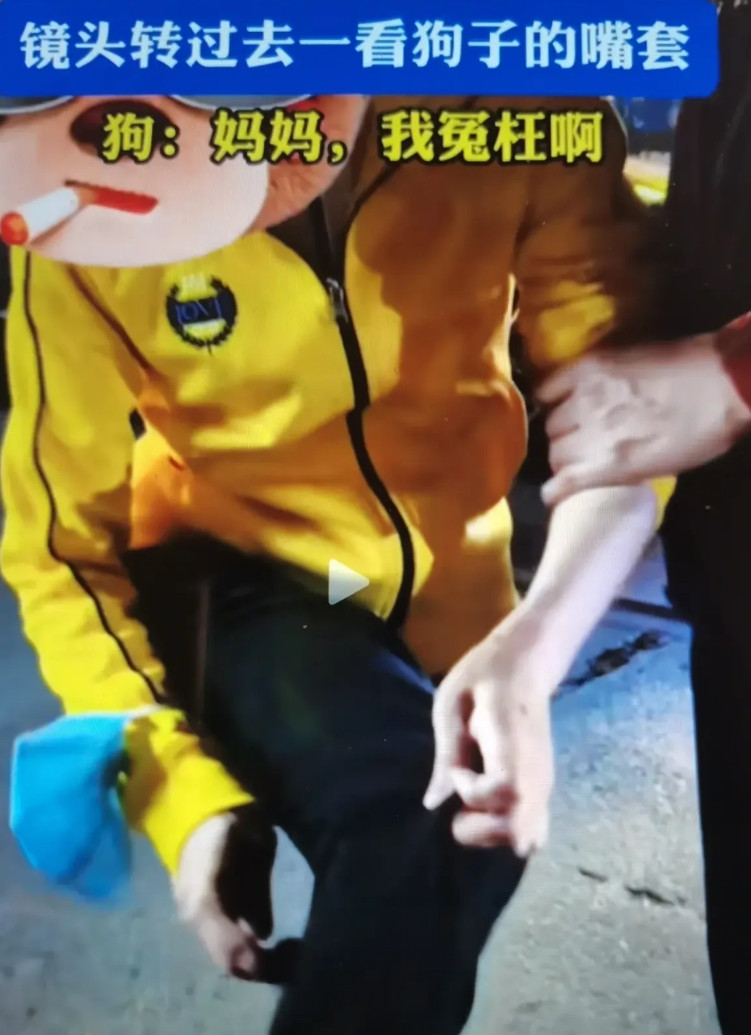 事发湖北，一大妈声称被狗咬到，狗主：阿姨，你回头看一眼我的狗！网友：这大妈是临时