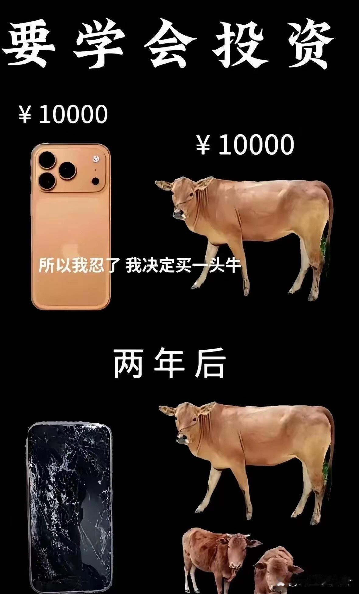 学会投资后[狗头]