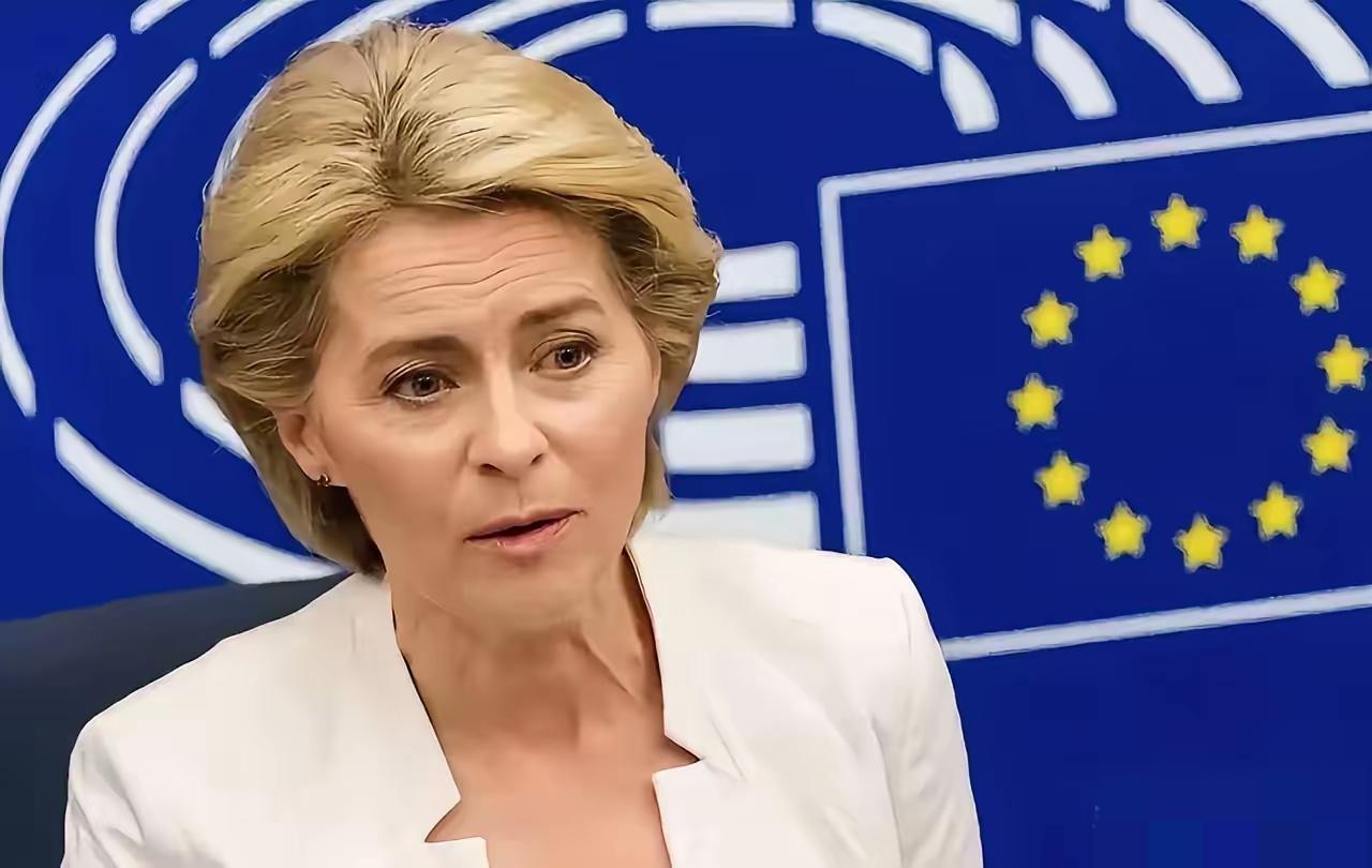 欧盟双标现场：芬兰教授灵魂拷问冯德莱恩，全场哑口无言​​一场欧盟会议上，芬兰教