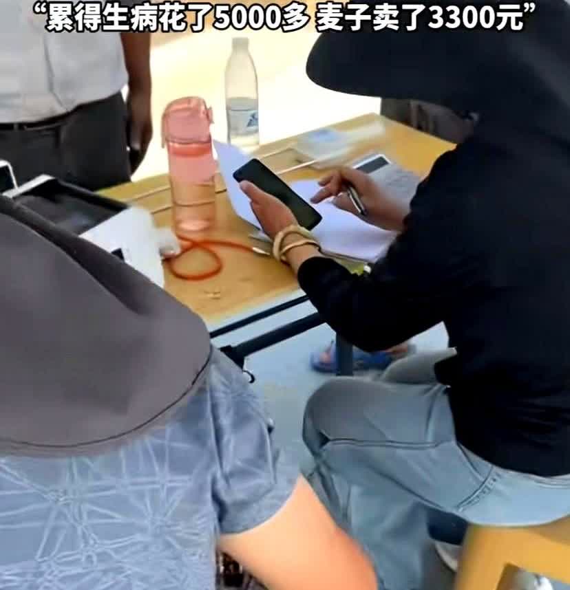河北邢台，老人舍不得家里的四亩地丢荒都种上麦子。农忙时儿孙纷纷从外地赶回