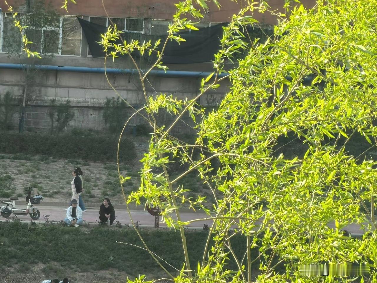 你发现了吗？婆婆最傻的行为就是死钻牛角尖。很多时候，儿媳妇不是看不起你这个人，