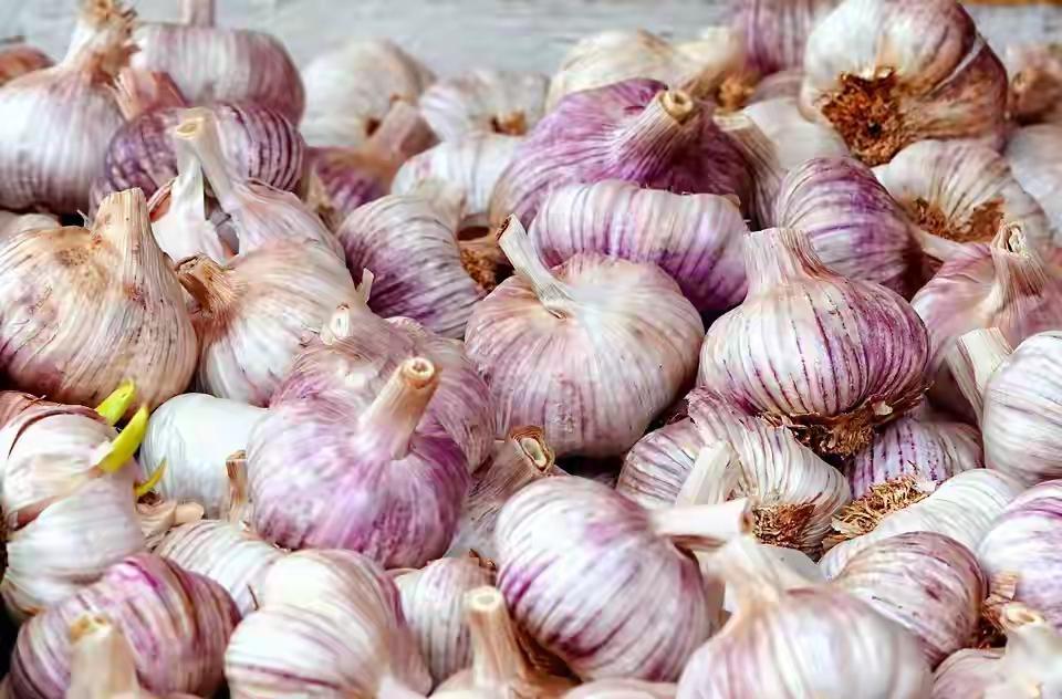 谢锋：中国大蒜做梦没想到被列为威胁谢锋大使那句“中国大蒜做梦也没想到会被列为‘