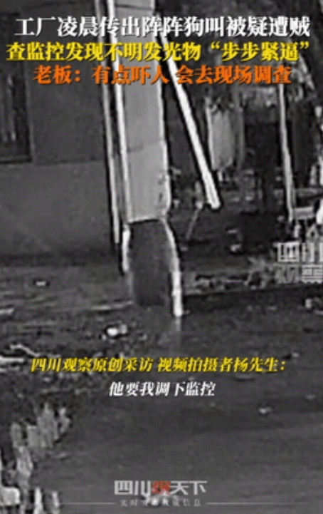 解释不清了！湖南一工厂半夜惊现“漂浮白点”，看门狗嗷嗷狂吠，员工以为进了贼，老板