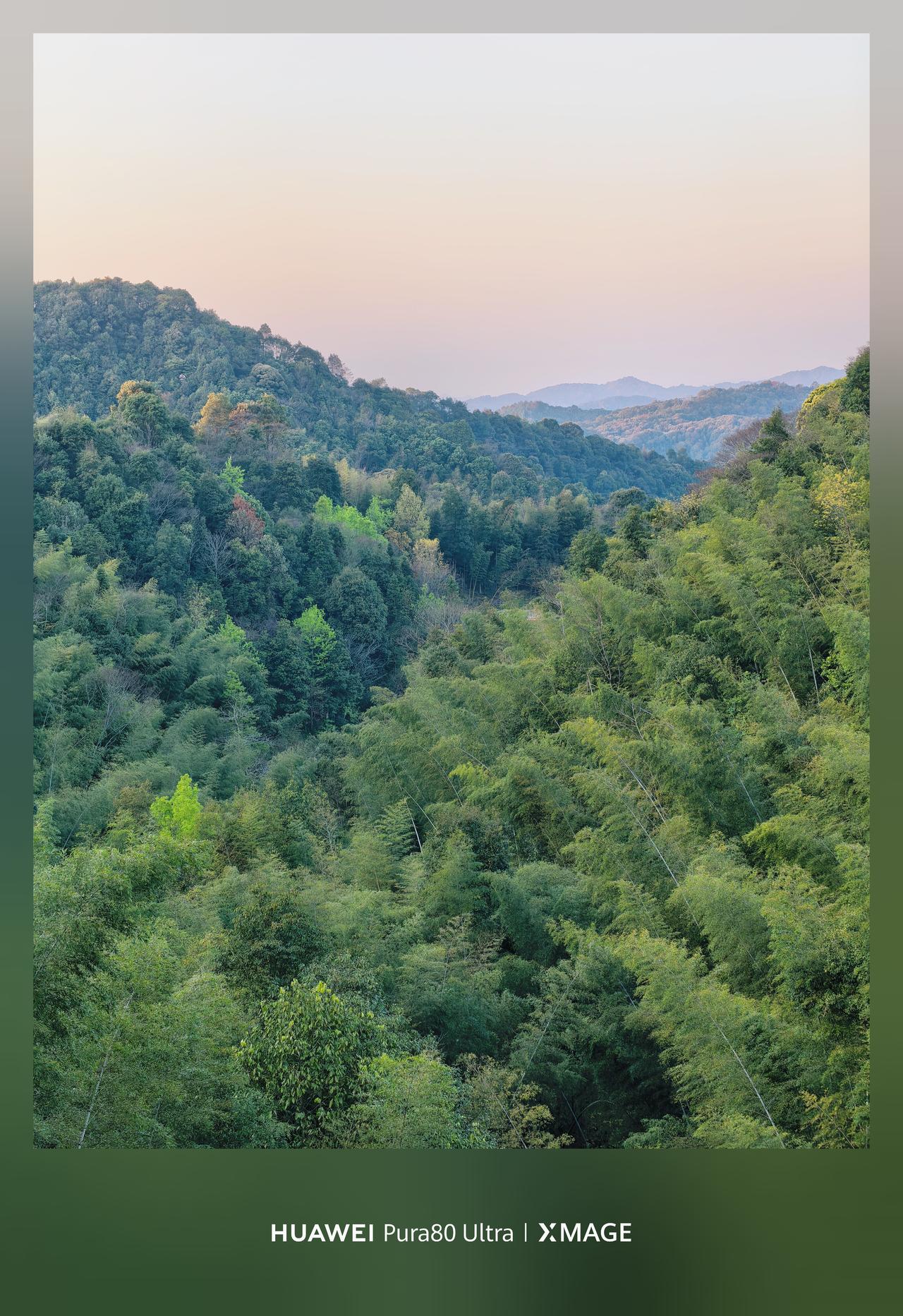 揣着Pura80Ultra追春，一脚陷进山峦的褶皱。远山的绿是淘洗过的，像刚从
